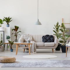 Collection image for: Home and living