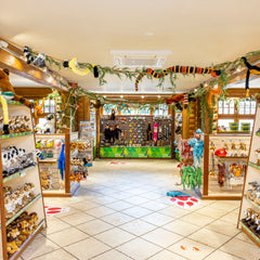Collection image for: Gift shop