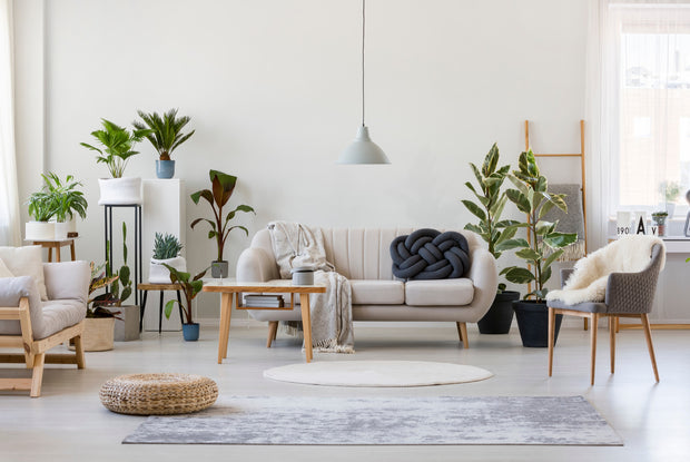 <h3>Home and living</h3>