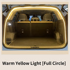 4M Yellow light
