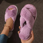 PURPLE / 42-43