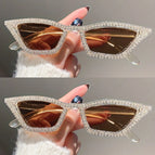 tea-2 pieces / CHINA